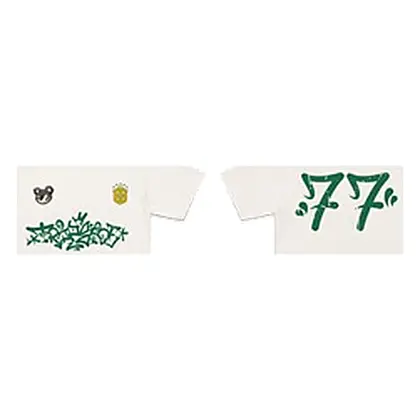 Camiseta Street Tradicional — Modelo 12